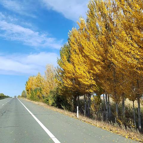 一路找北（七）