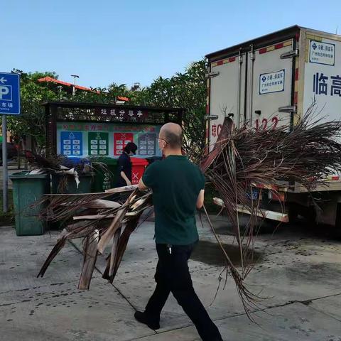 临高县疾控中心开展整治人居环境工作