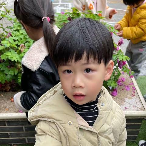 图形的奇妙世界