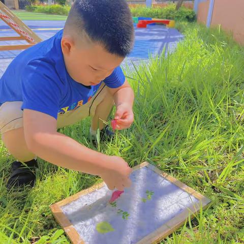 【学习园地】“纸”趣横生-主题活动