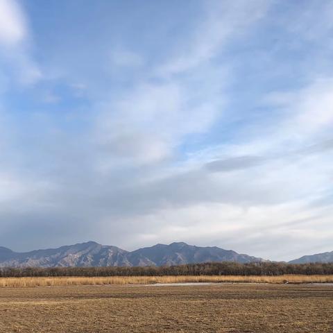 春日闲游（桑干河、翠微山、广武城）