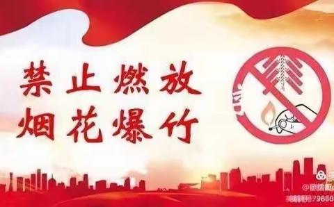 守护碧水蓝天，禁燃禁放迎新年——珞珈百步亭幼儿园禁止燃放烟花爆竹倡议书