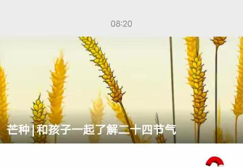 芒种‖和孩子一起了解二十四节气