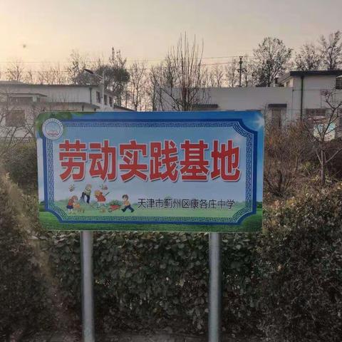 “双创”进校园，美化校园我行动