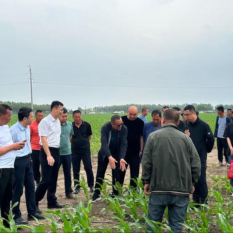 榆树乡：结对共建促交流，同心协力谋发展