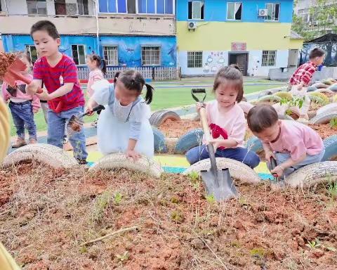 城西幼儿园小一班《吃得香，长得棒》主题活动