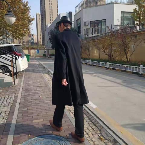 浮生一刹逝如电  陌上逢却再少年