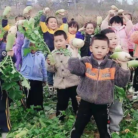 童乐幼儿园园本课程之—邂逅自然，探秘萝卜