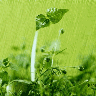 今日谷雨，请这样陪孩子抓住春天的小尾巴！（转给家长）