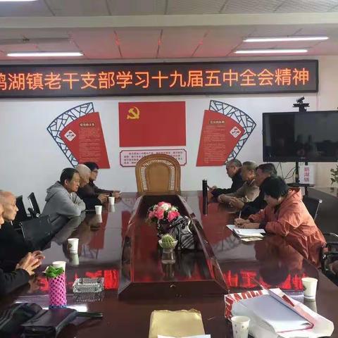 鹅湖镇机关老年支部认真学习党的十九届五中全会精神