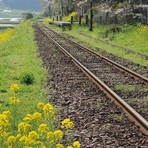 新街中学爱路护路宣传教育