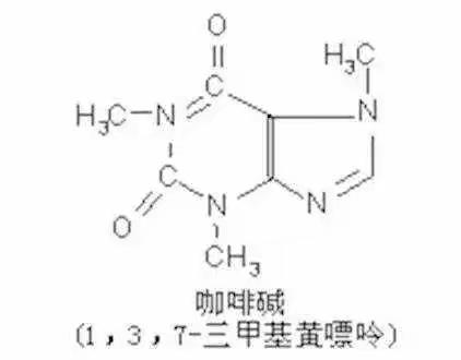 茶知识丨为什么有的茶苦，有的茶爽