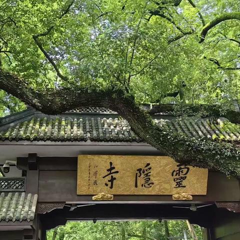 杭城之夏——飞来峰（永福寺）