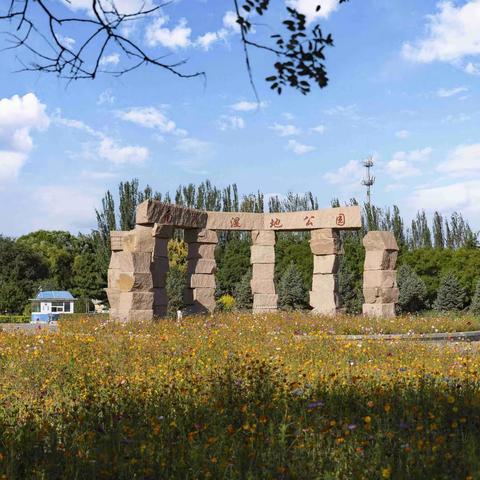 《花儿串串烧》