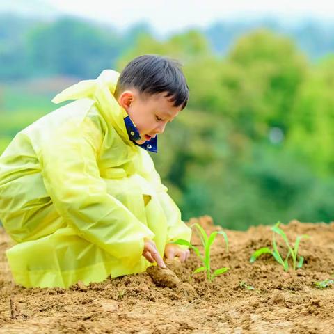 “爱在春天，乐在自然”集佳幼儿园亲子春游活动