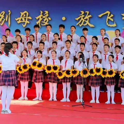 我在八一小学六（2）班的幸福时光