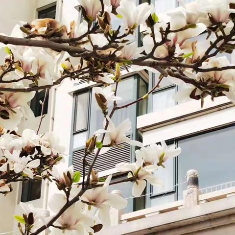 初中数学教研组线上教学侧影