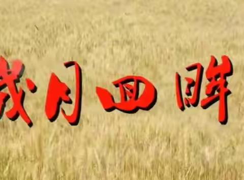 岁月回眸 ——记忆中的父亲母亲