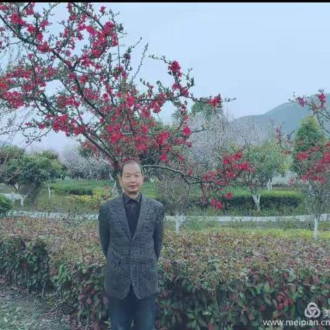 破茧成蝶——张云的诗