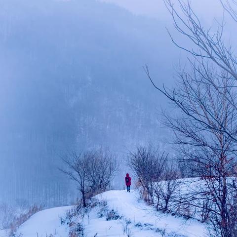 今冬两顾雪村踏雪拾小景