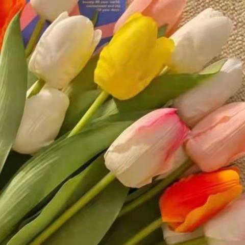 盆底康复的重要性您需要知道！