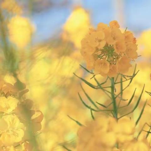 不只产后，这些阶段都需要做盆底康复