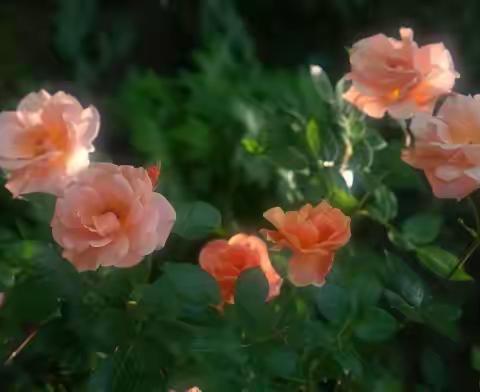 如何判断自己的盆底肌是否出现问题？