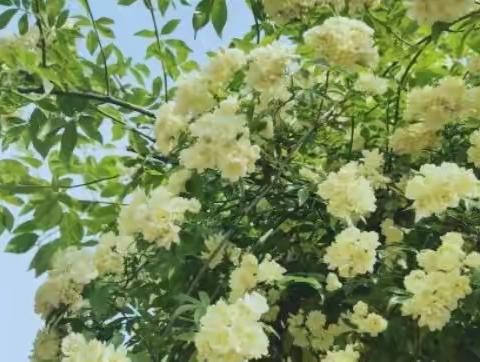 保护盆底肌应该注意这6点！