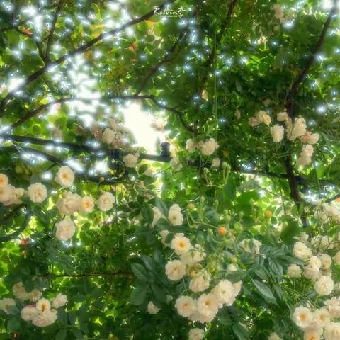 快来看看，你的盆底肌处于何种状态？