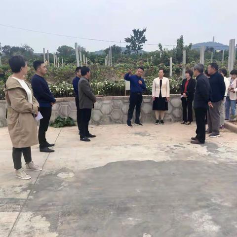政协科协、社科和科学技术界委员小组到北石槽调研农业科技创新