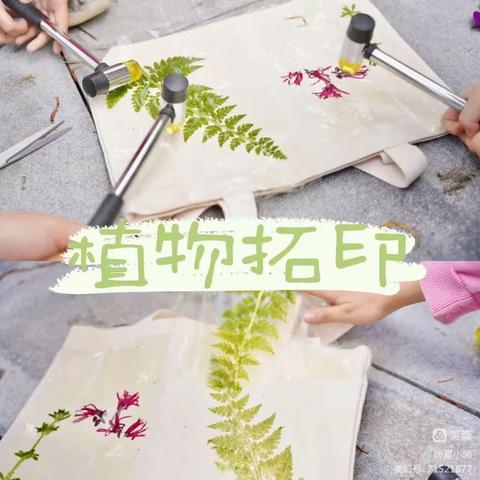 “布一样”的植物拓印——梁邹小学三年11、12班数学实践作业