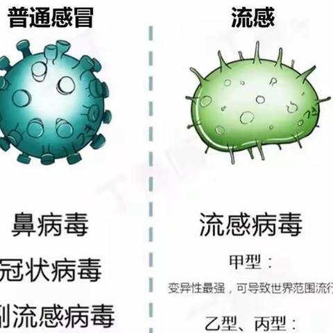 甲流高发期，我们如何预防甲流侵害