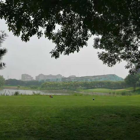 快乐暑期之高尔夫⛳️球场