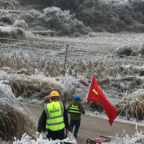 抗雪凝保通信 党员先锋冲在前