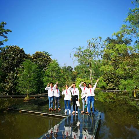 赏热带雨林风光，圆版纳研学之旅