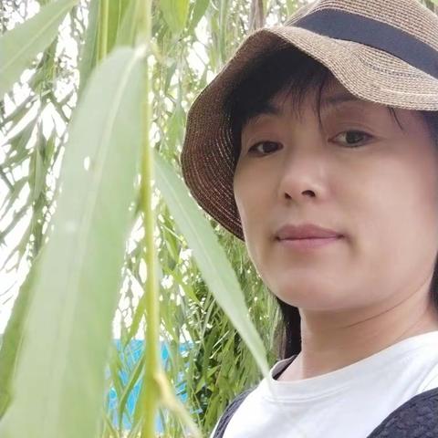 萍水相逢的美篇