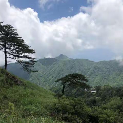 安福金鼎一日游