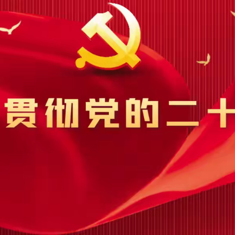 【平城特教】学习党的二十大精神（四）