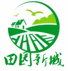 【示范区】办公室组织人员对示范区重点工作实地指导