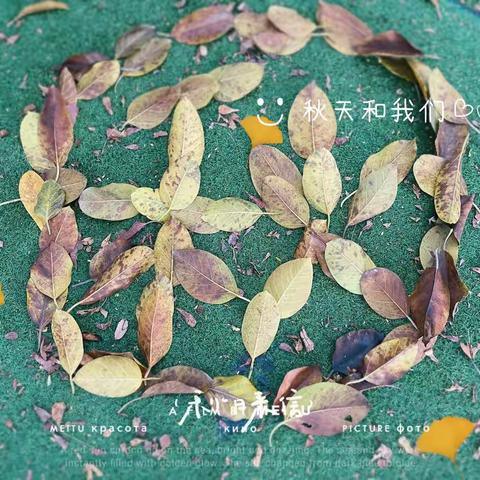 【🍁秋天来了】——中5班主题活动回顾