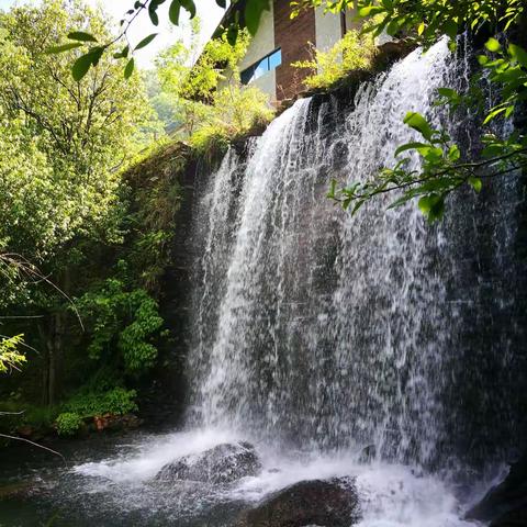 青山绿水湖北游