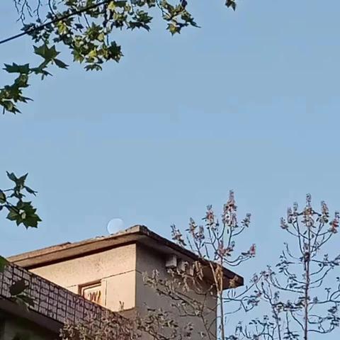 期盼未来，回归母校