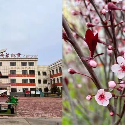 线上教学齐努力，不负春光不负春——湟中区新墩希望小学