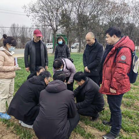 春管技术送田间，解决问题助丰产       ——周至县农业农村局农技中心邀请小麦专家来我县指导春管技术