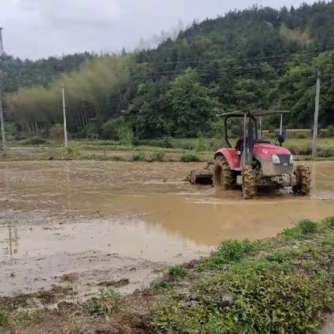 平江县乡村振兴局驻村工作队：“五登门、五帮助”    助力春耕促增收