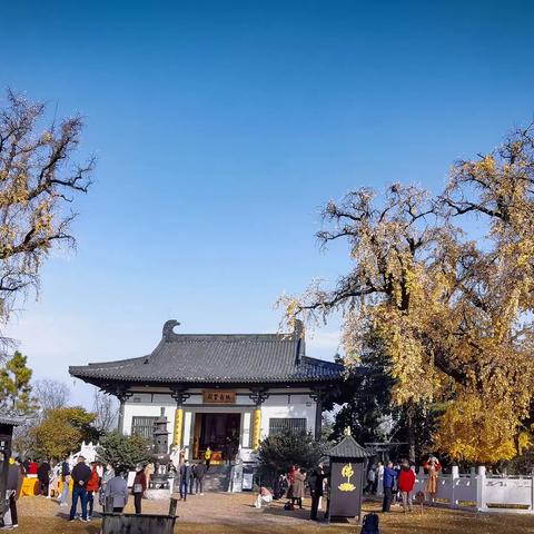 南京浦口•古惠济寺