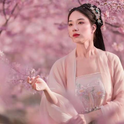 樱你而来