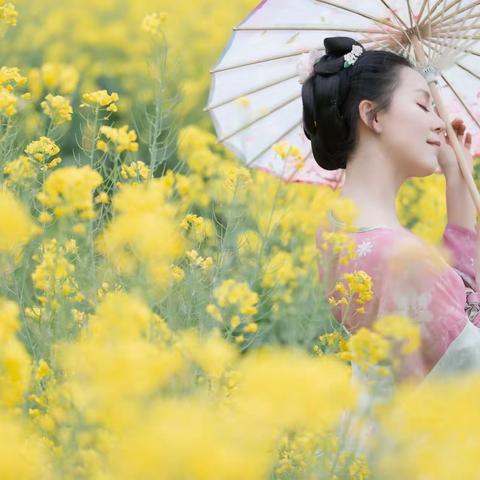 融化在油菜花海