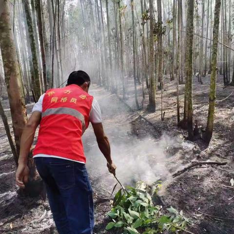 突发火情  网格员协助灭火