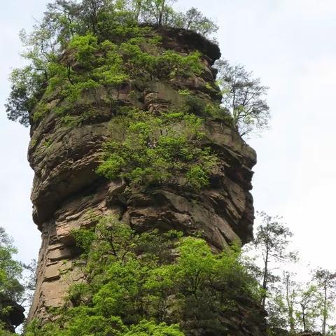 题鲁迅山-‘